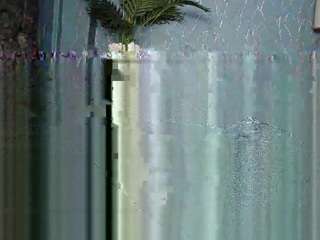 stacydash webcam