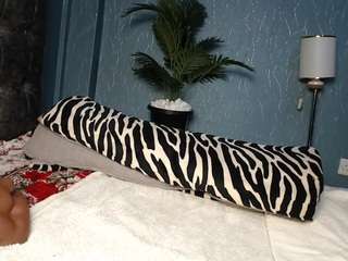 stacydash Live Webcam on CamSoda