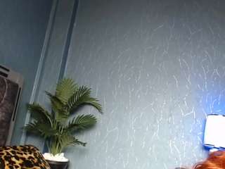 stacydash