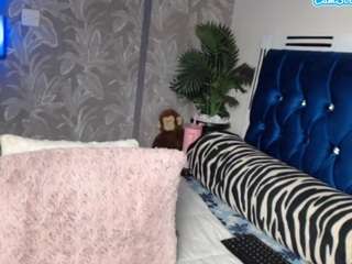 stacydash live cam profile