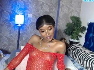 stacydash live cam profile