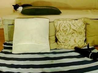 squirtymayagold live webcam show