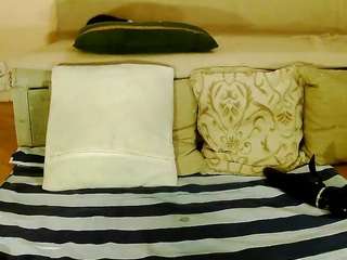 squirtymayagold live webcam show
