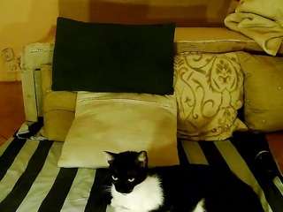 SquirtyMayaGold live webcam show