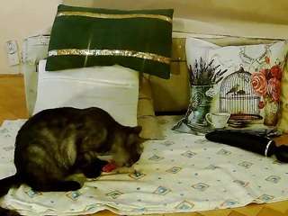 squirtymayagold