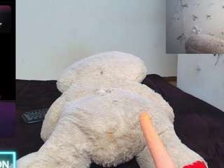 AIDAWILLIAM live webcam show
