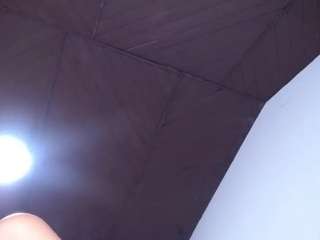 antonellasweetlittle's CamSoda show and profile