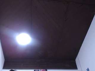 antonellasweetlittle