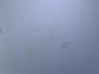 Kathe-Mills235's Live Sex Cam Show