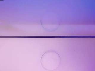 danidollsex's CamSoda show and profile