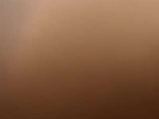 nicol-brown1