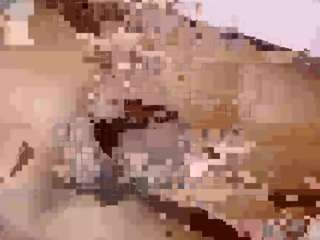 nicol-brown1