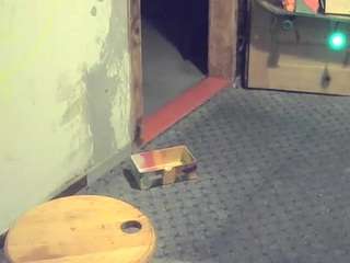 sideshowcan Live Webcam on {site_name}