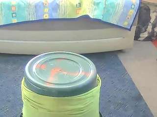 sideshowcan webcam model