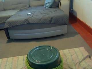 sideshowcan