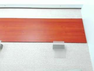 maddy-cartter webcam