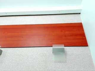 maddy-cartter Profile Image