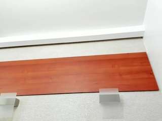 maddy-cartter webcam