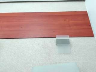 maddy-cartter webcam