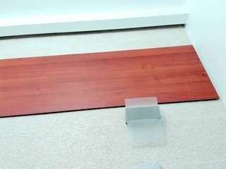 maddy-cartter webcam