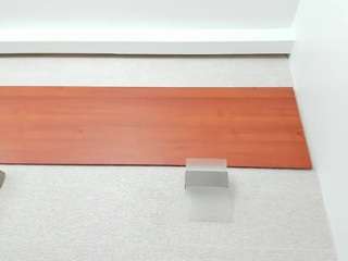 maddy-cartter webcam