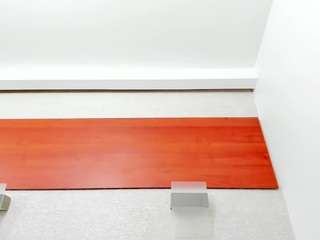 maddy-cartter
