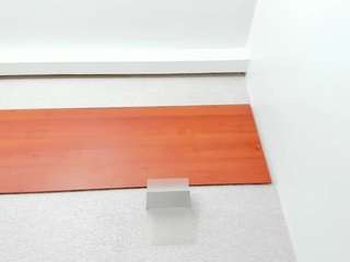 Maddy-Cartter live cam preview