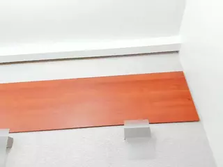 Maddy-Cartter