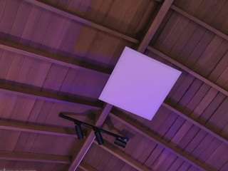 celestepalmer webcam