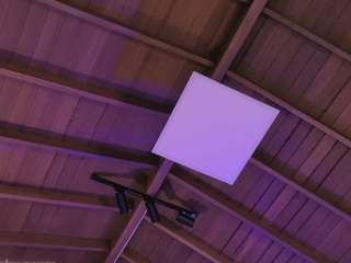 celestepalmer webcam