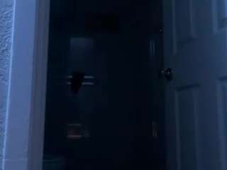 squirtmann619