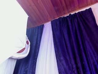 sadashi-moon webcam