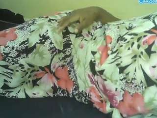 diva-leila