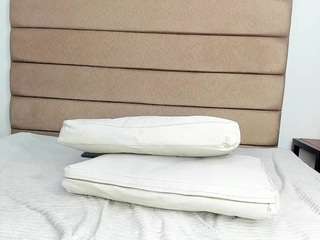  sally-rosses chat room