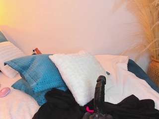 sally-rosses webcam