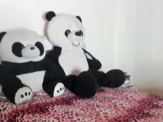 sammy2019cute webcam