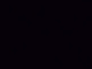 angelbae408