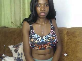 wet3d webcam
