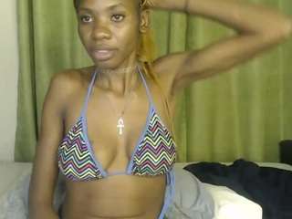 wet3d