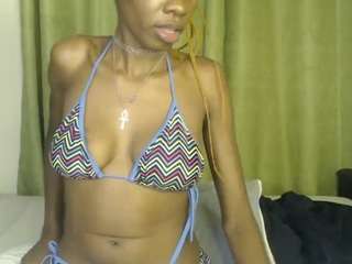 wet3d