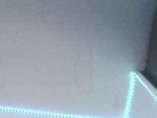 lorenitha19 live webcam show