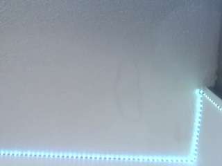 lorenitha19 live webcam show