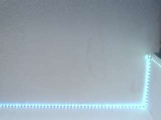 lorenitha19 live webcam show