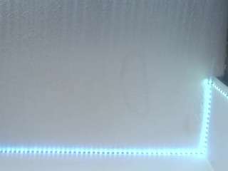 lorenitha19 live webcam show