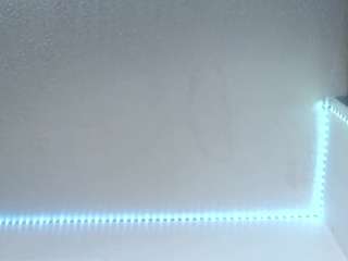 lorenitha live webcam show