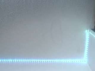 lorenitha live webcam show