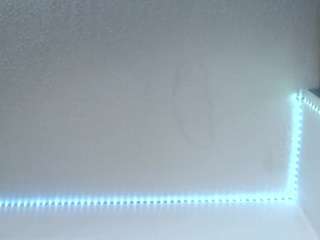 lorenitha live webcam show