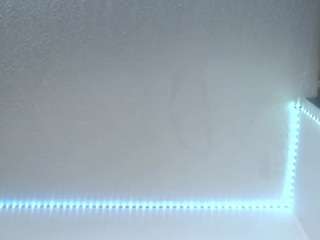 lorenitha live webcam show