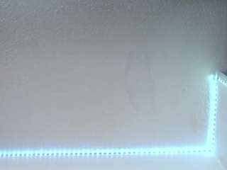 lorenitha live webcam show