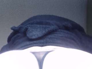 lorenitha19